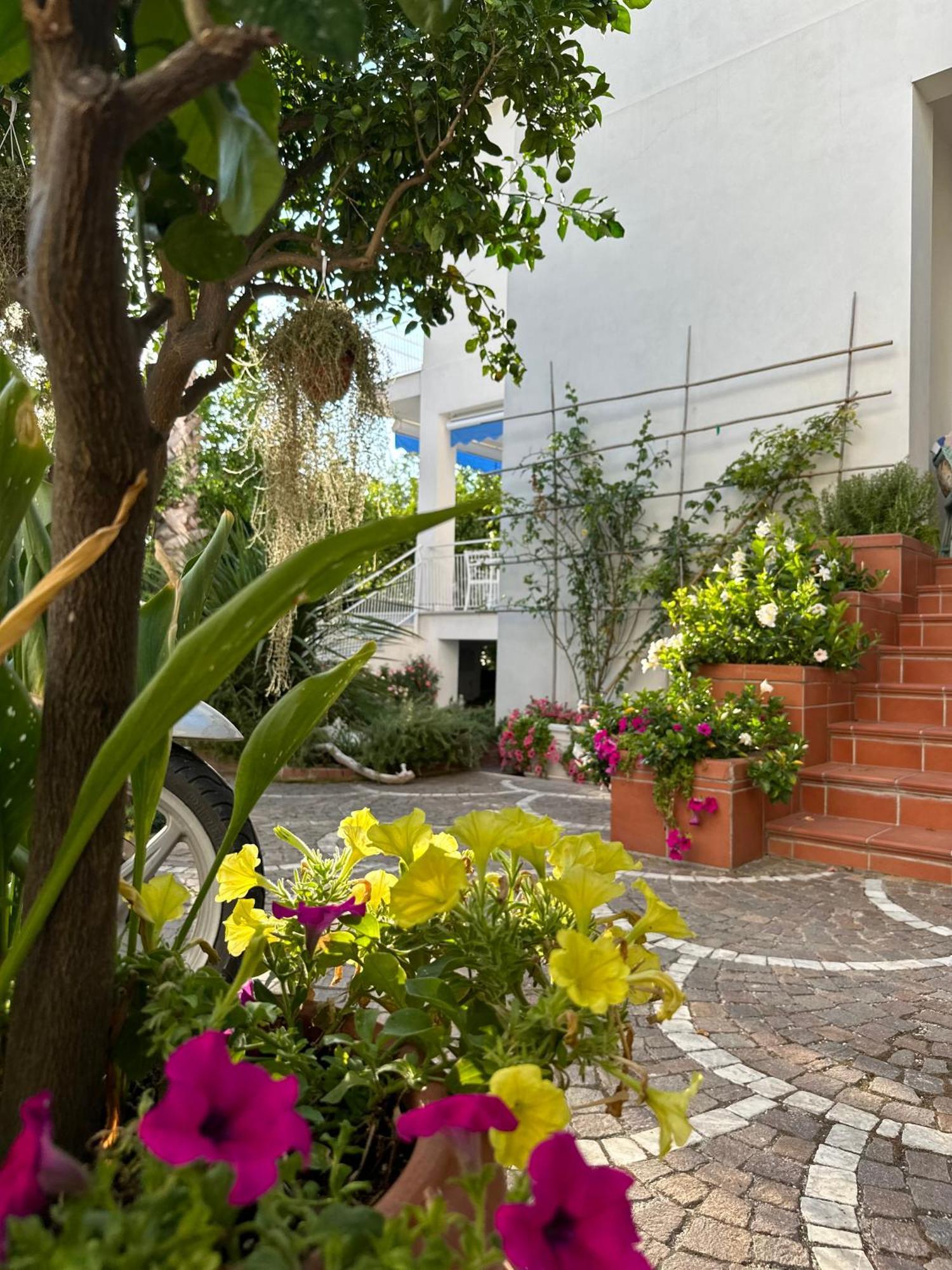 Villa Cettina Boutique Hotel Соренто Екстериор снимка