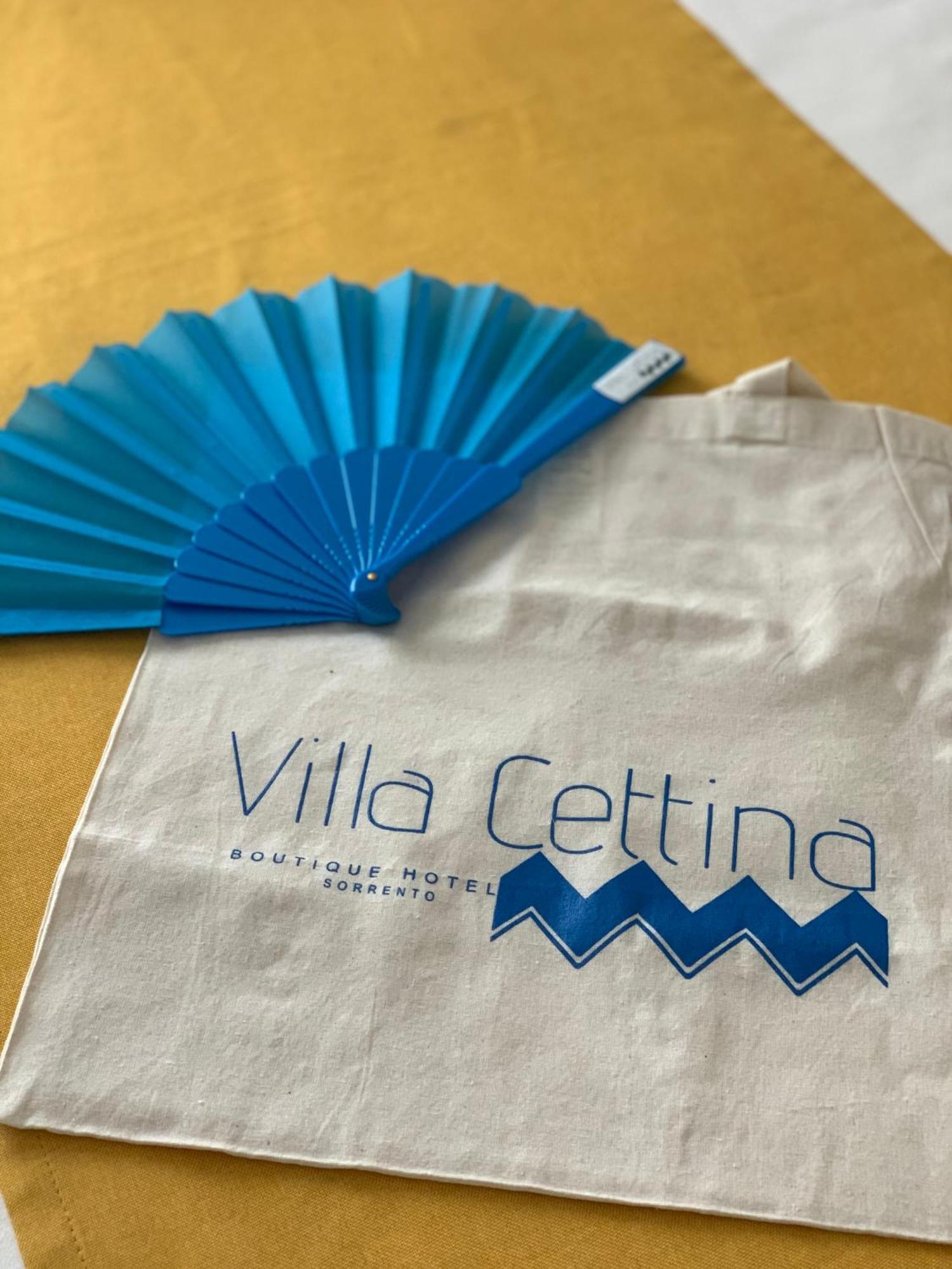 Villa Cettina Boutique Hotel Соренто Екстериор снимка